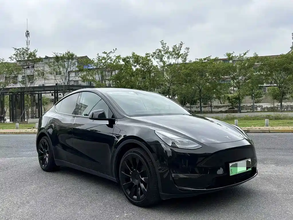 Tesla Model Y — фото 3