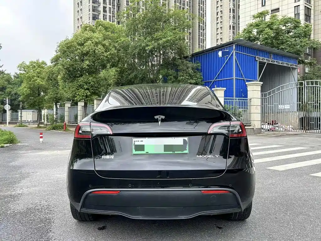 Tesla Model Y — фото 4