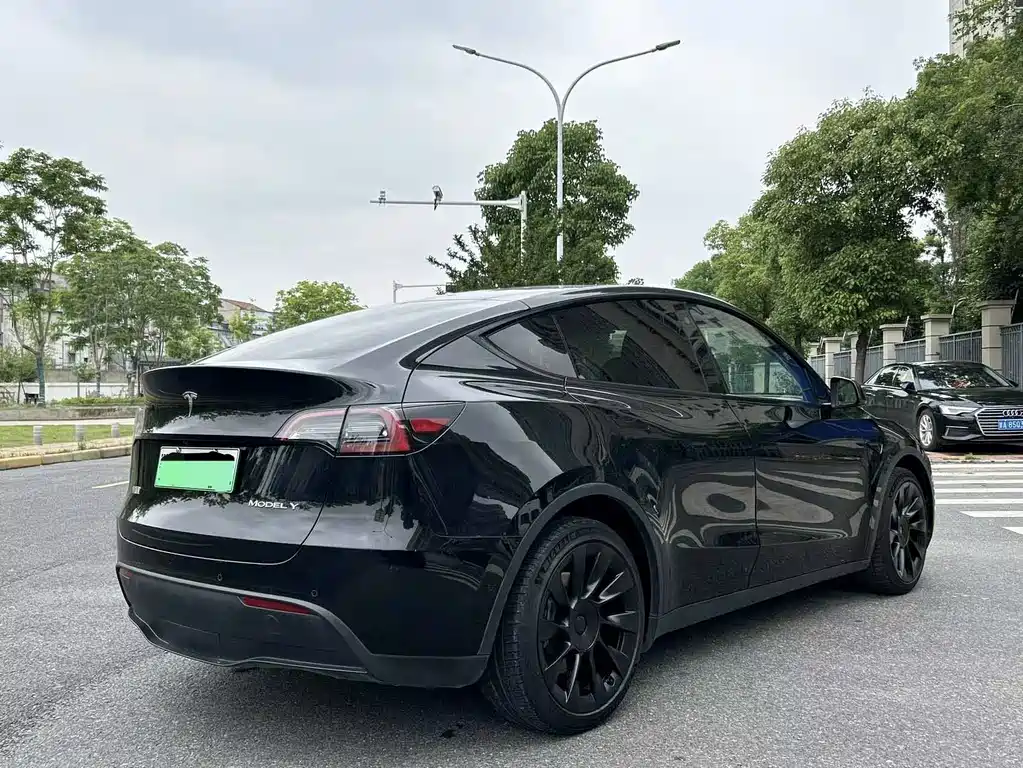 Tesla Model Y — фото 5