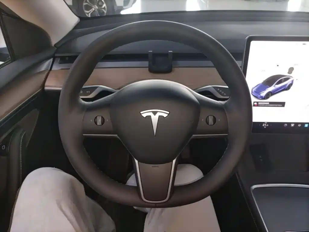 Tesla Model Y — фото 11