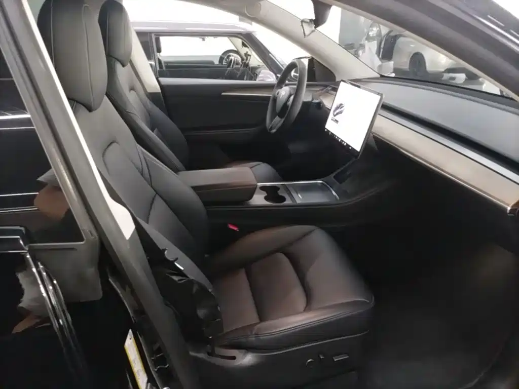Tesla Model Y — фото 25