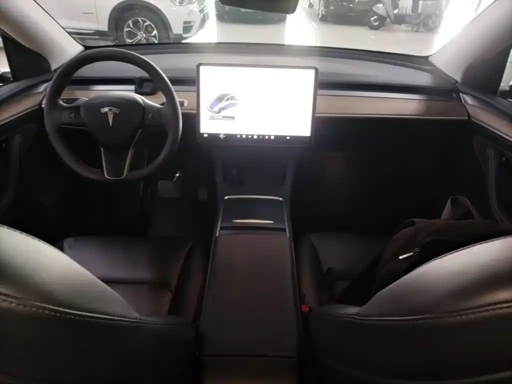 Tesla Model Y — фото 10