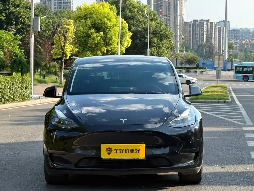 Tesla Model Y — фото 2