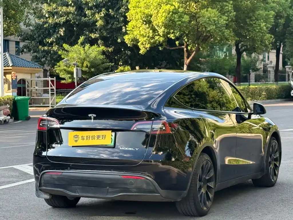 Tesla Model Y — фото 5