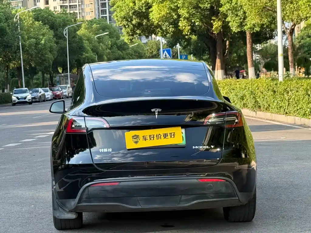Tesla Model Y — фото 6