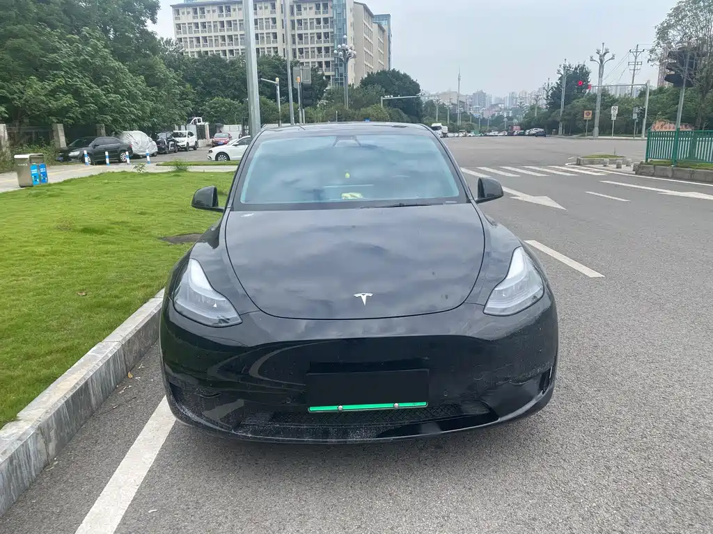 Tesla Model Y — фото 2
