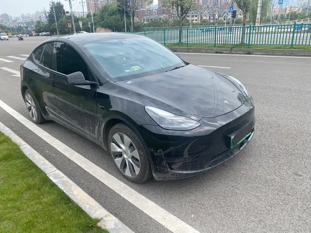 Tesla Model Y — фото 3