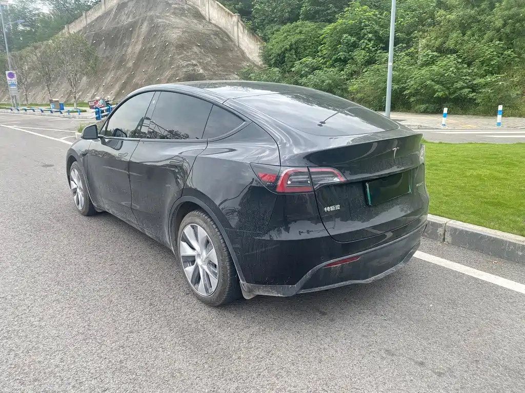 Tesla Model Y — фото 7