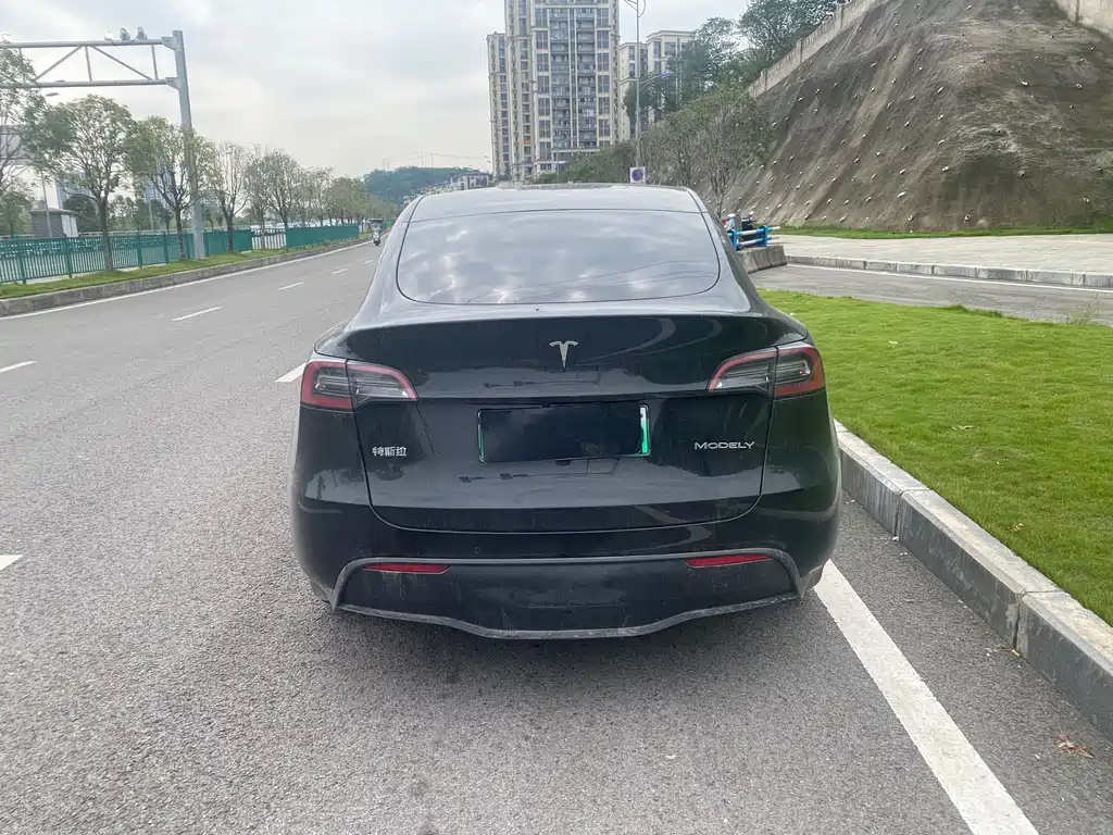 Tesla Model Y — фото 8