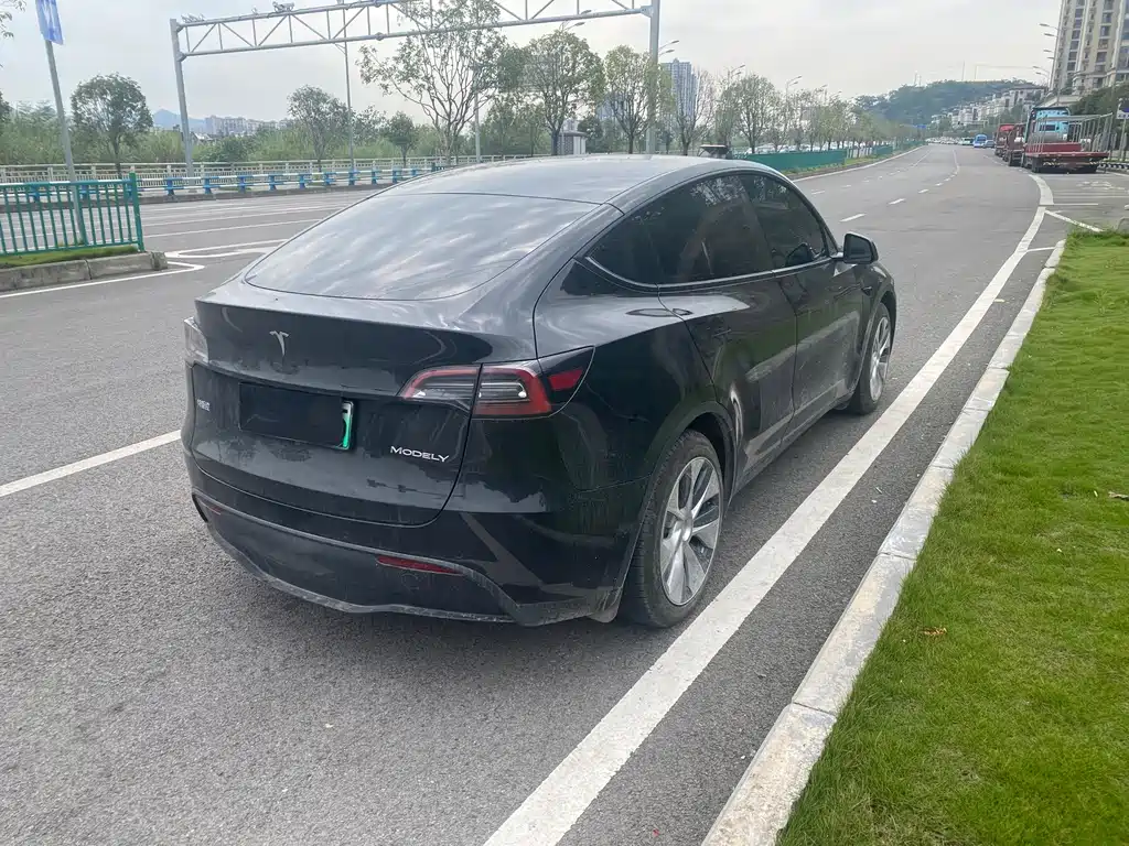 Tesla Model Y — фото 9
