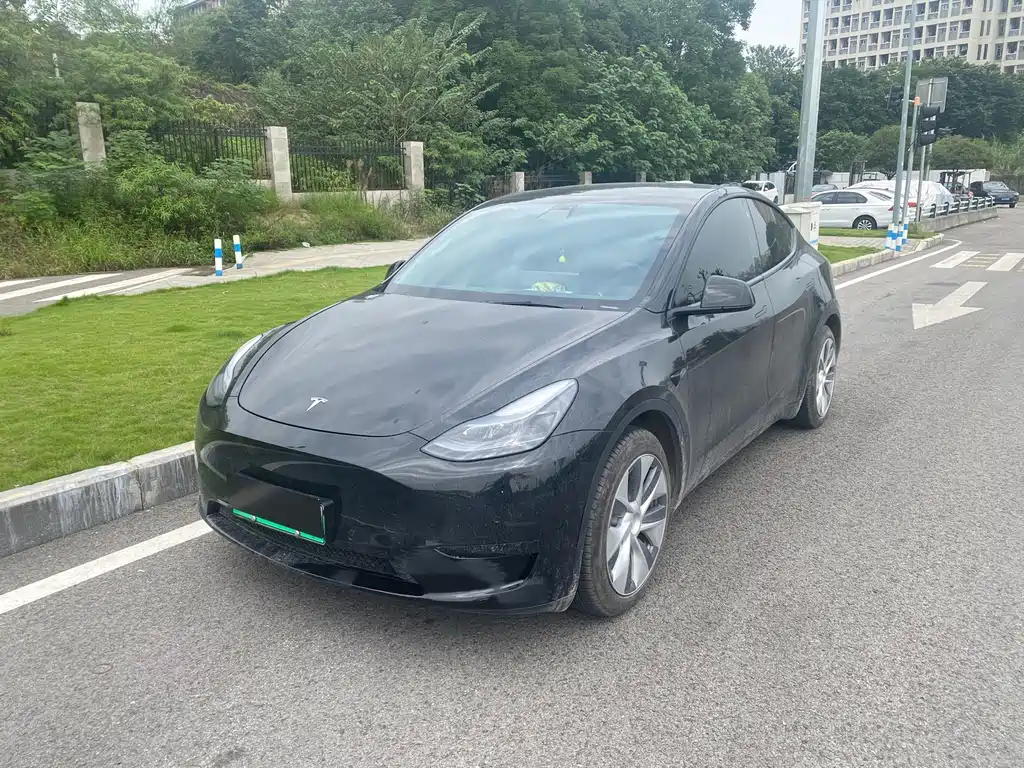Tesla Model Y — фото 1