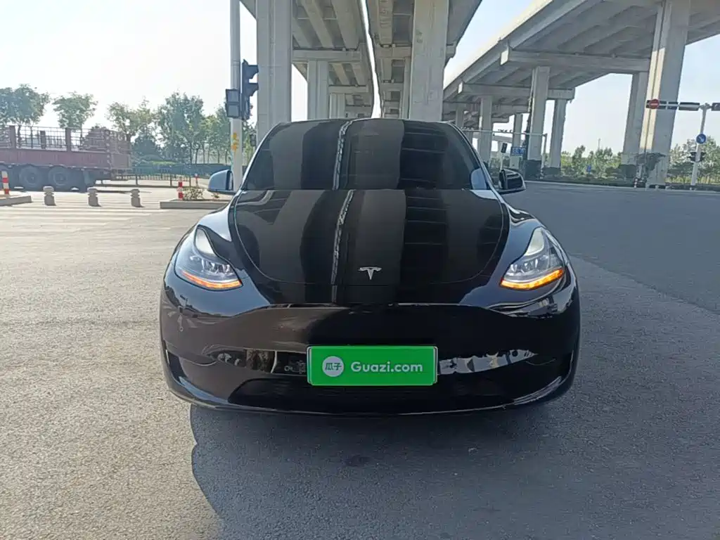 Tesla Model Y — фото 3
