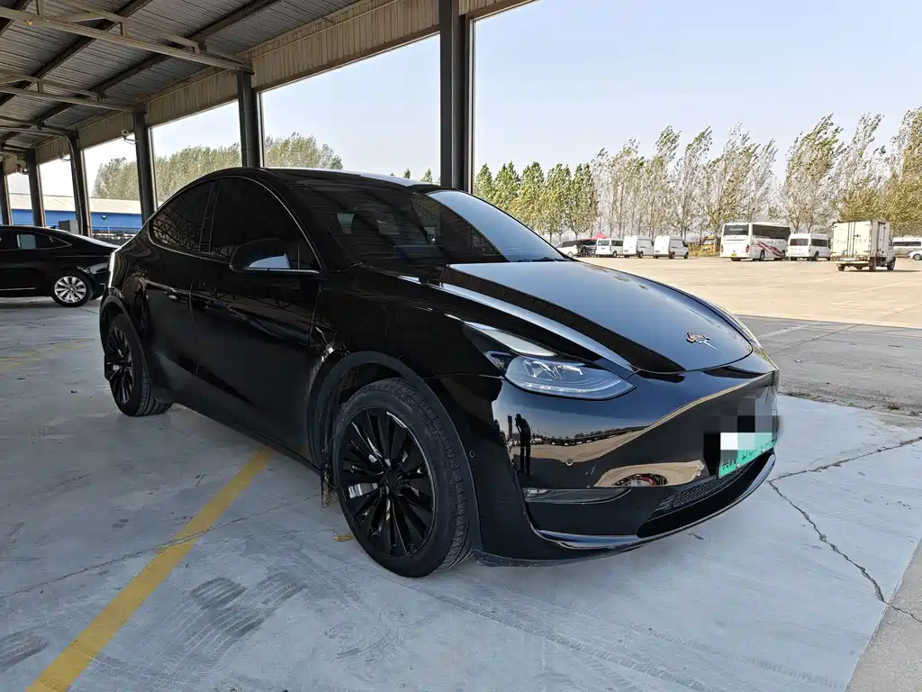 Tesla Model Y — фото 3