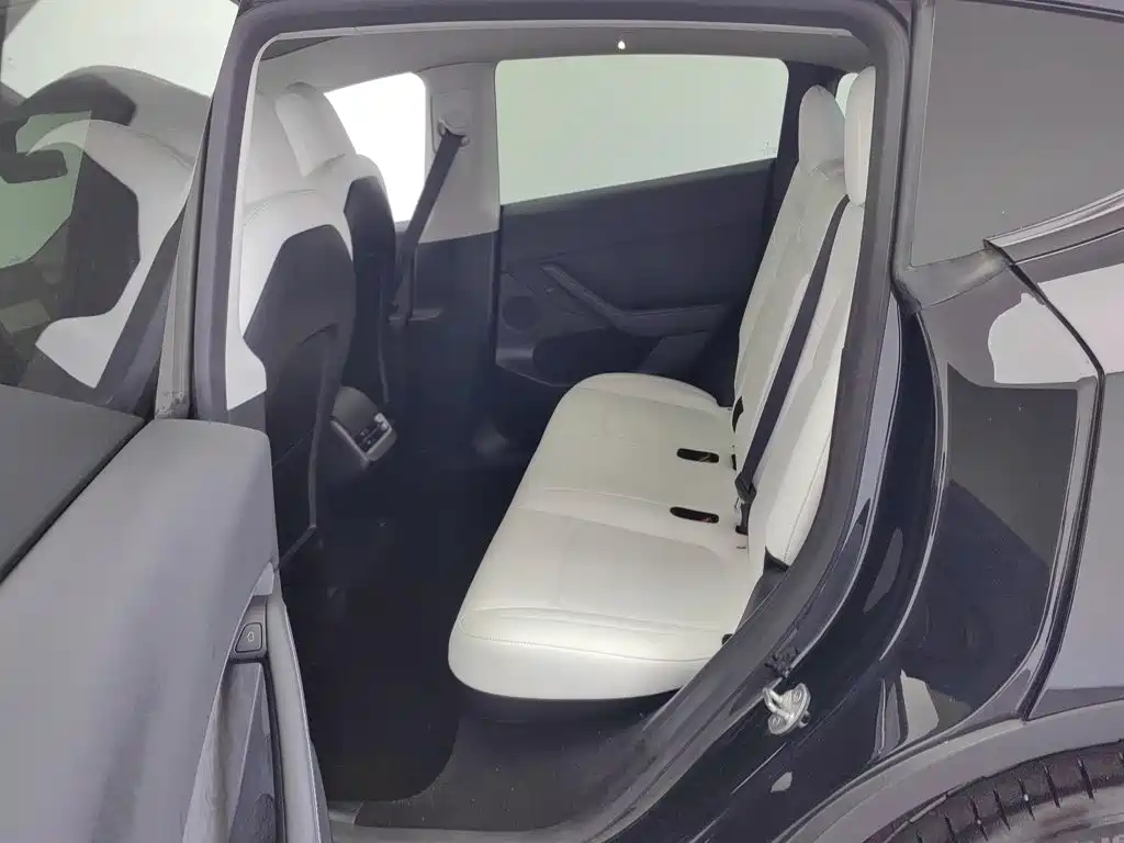 Tesla Model Y — фото 15