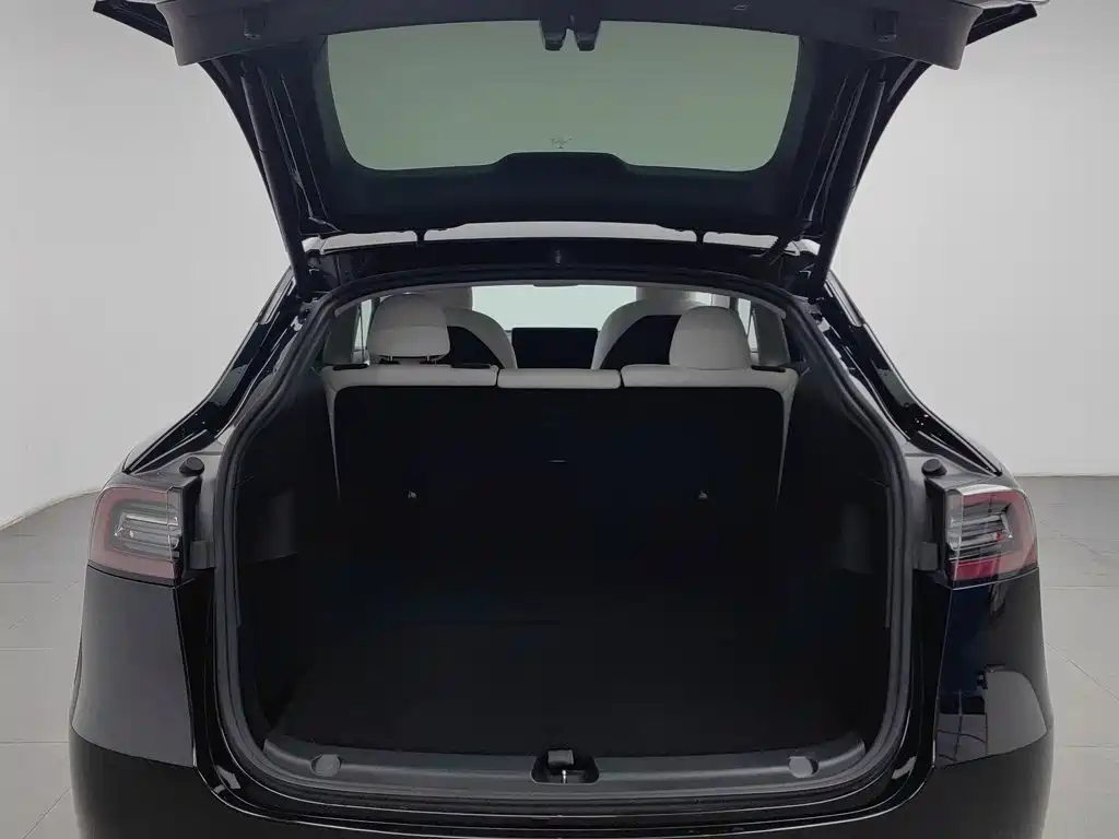 Tesla Model Y — фото 16
