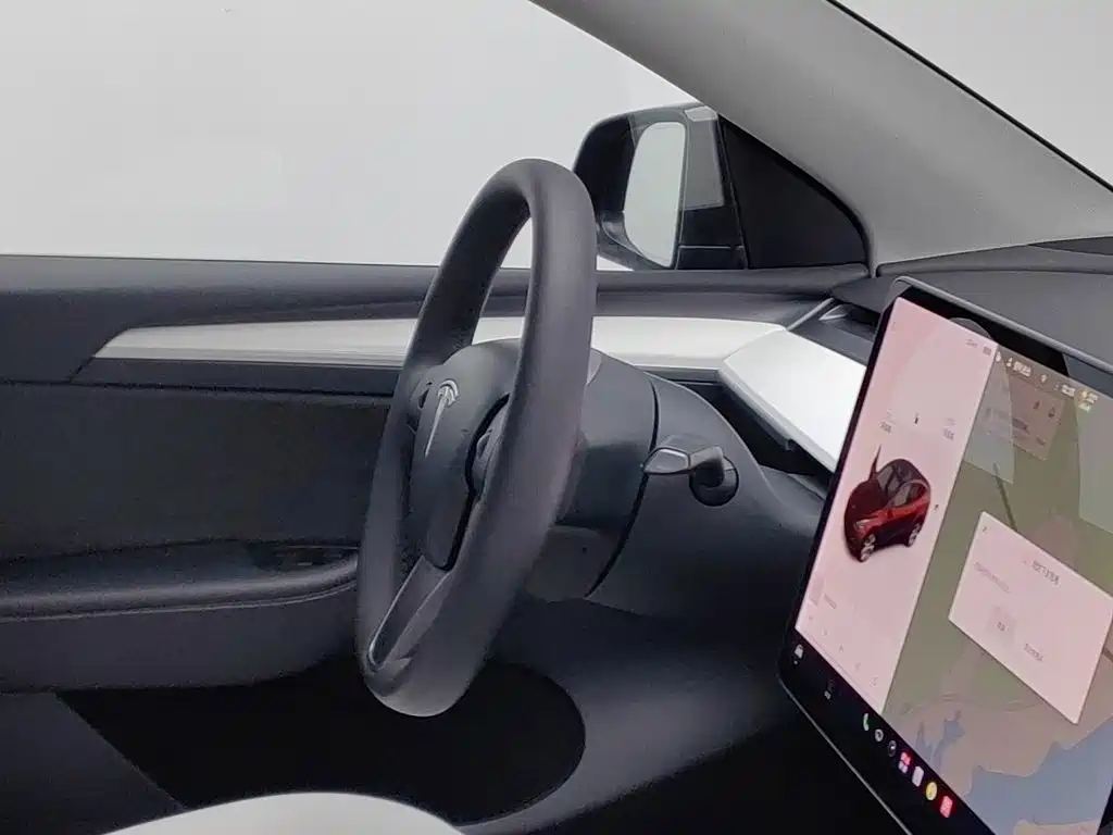 Tesla Model Y — фото 22