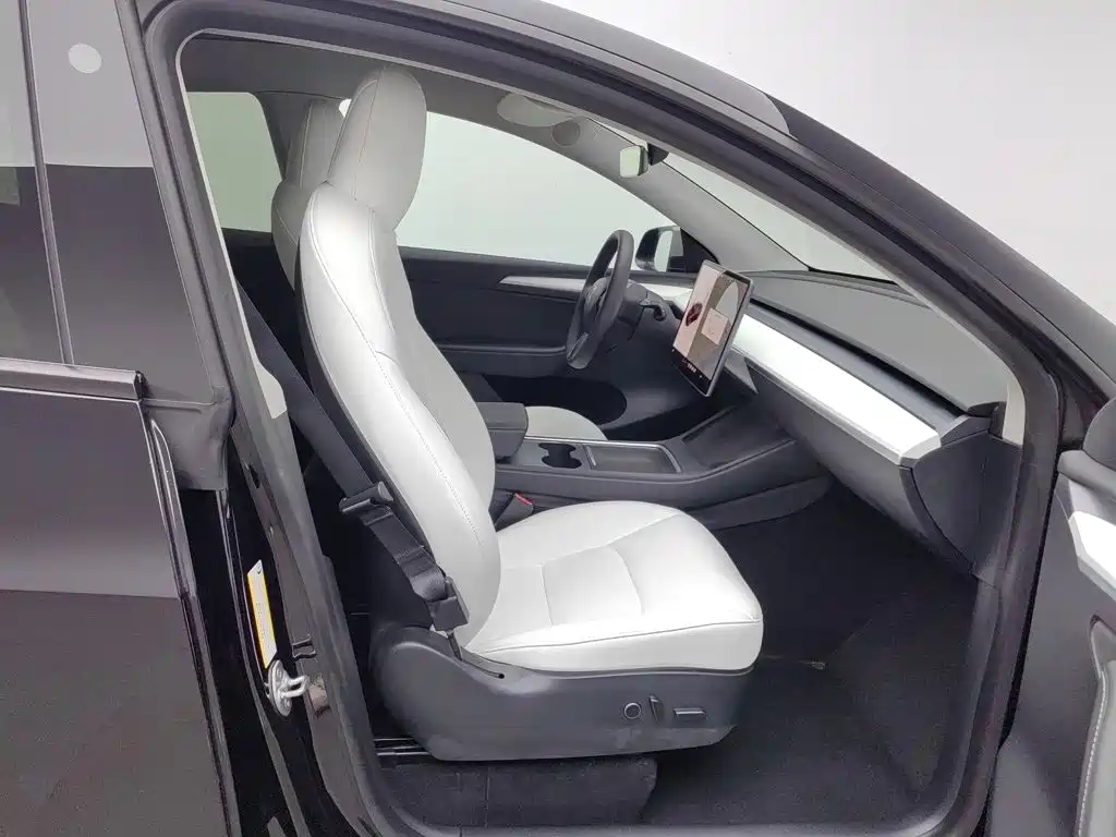 Tesla Model Y — фото 23