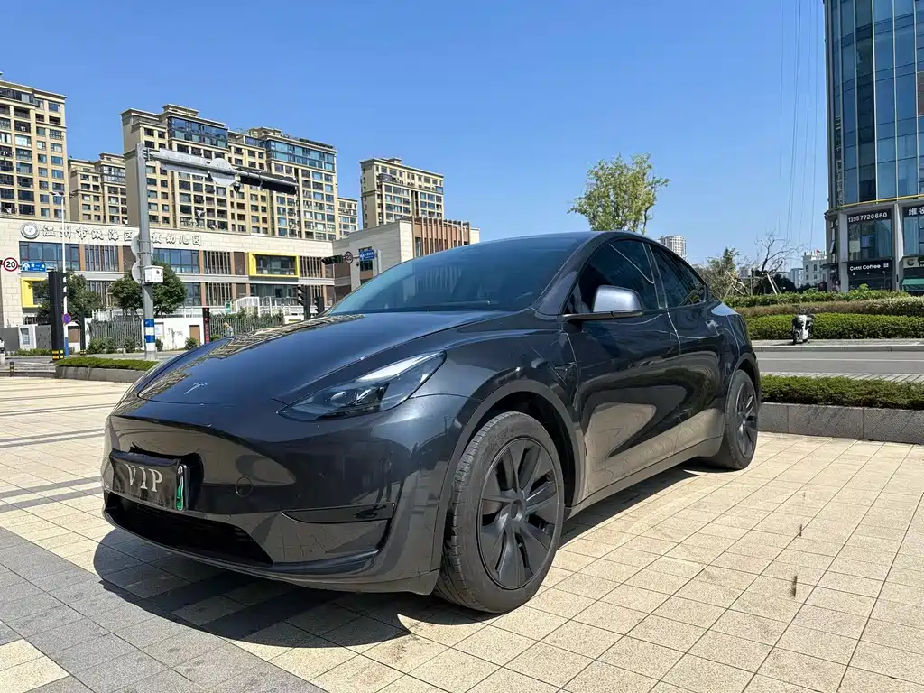 Tesla Model Y — фото 3