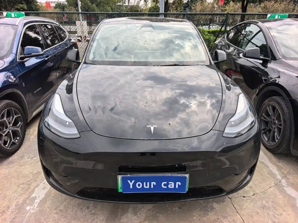 Tesla Model Y — фото 2
