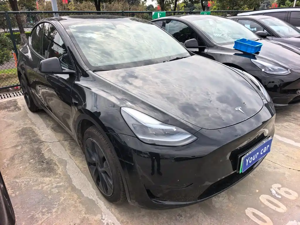 Tesla Model Y — фото 3