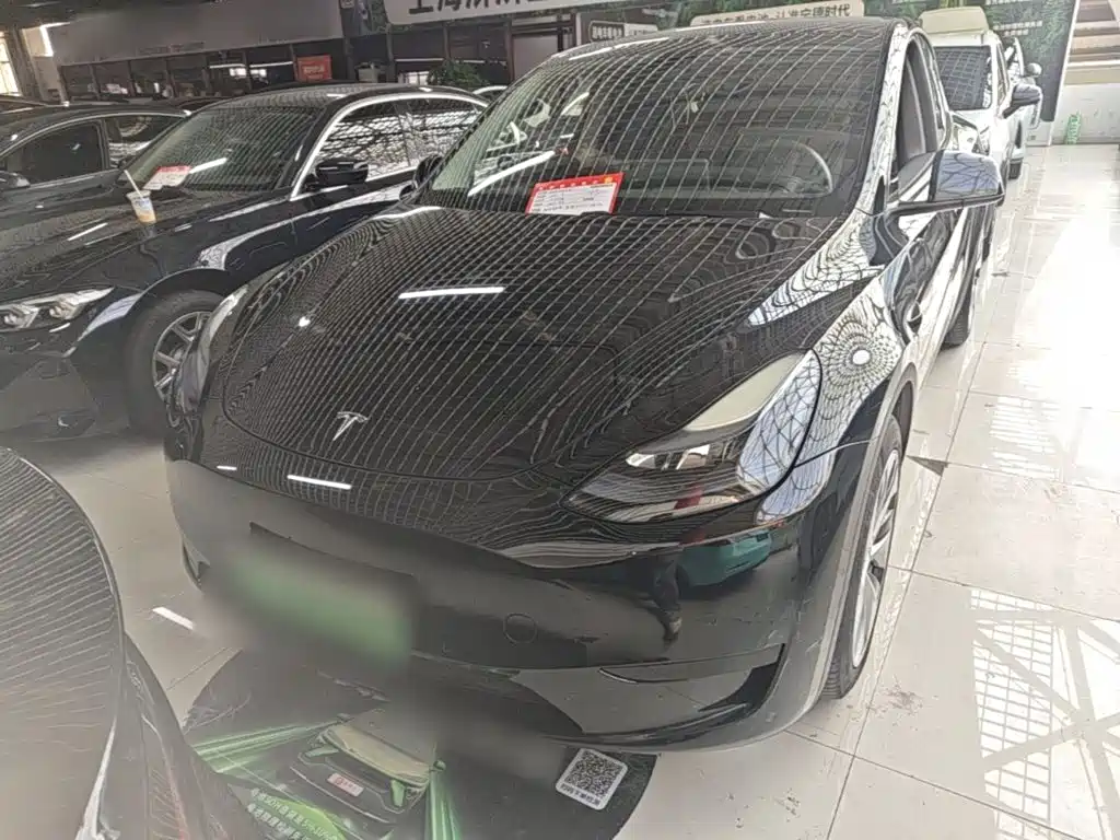 Tesla Model Y — фото 3