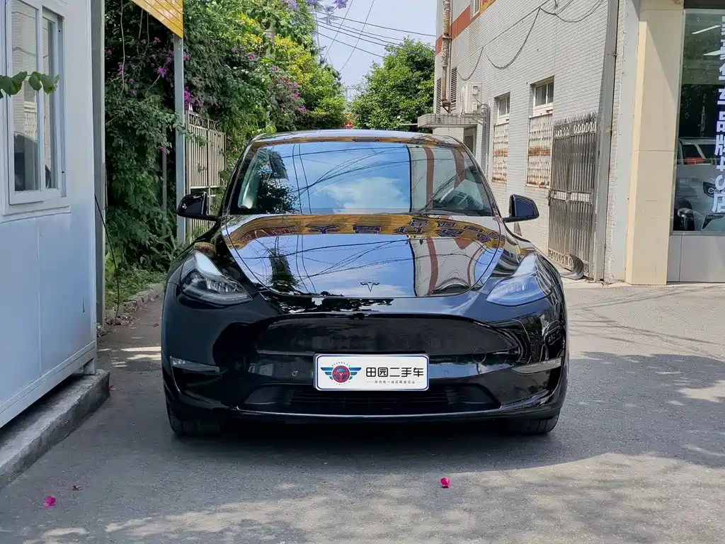 Tesla Model Y — фото 2