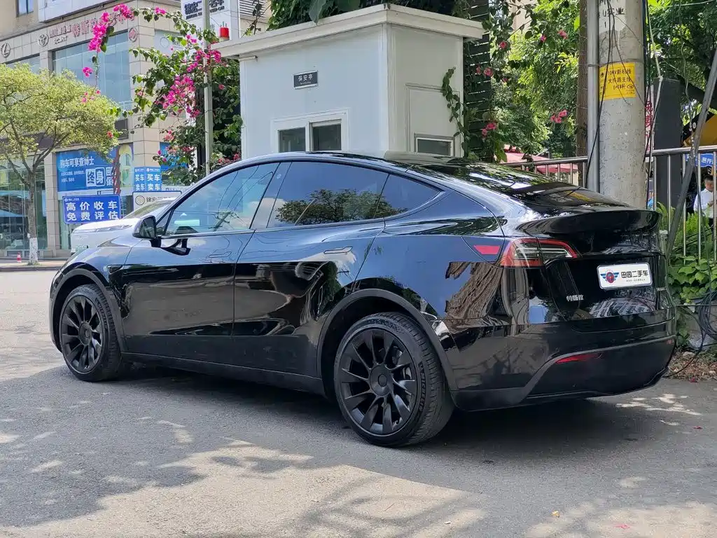 Tesla Model Y — фото 4
