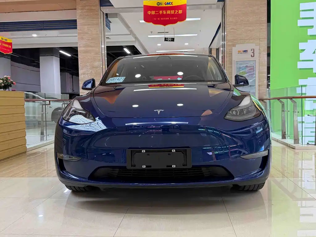 Tesla Model Y — фото 2