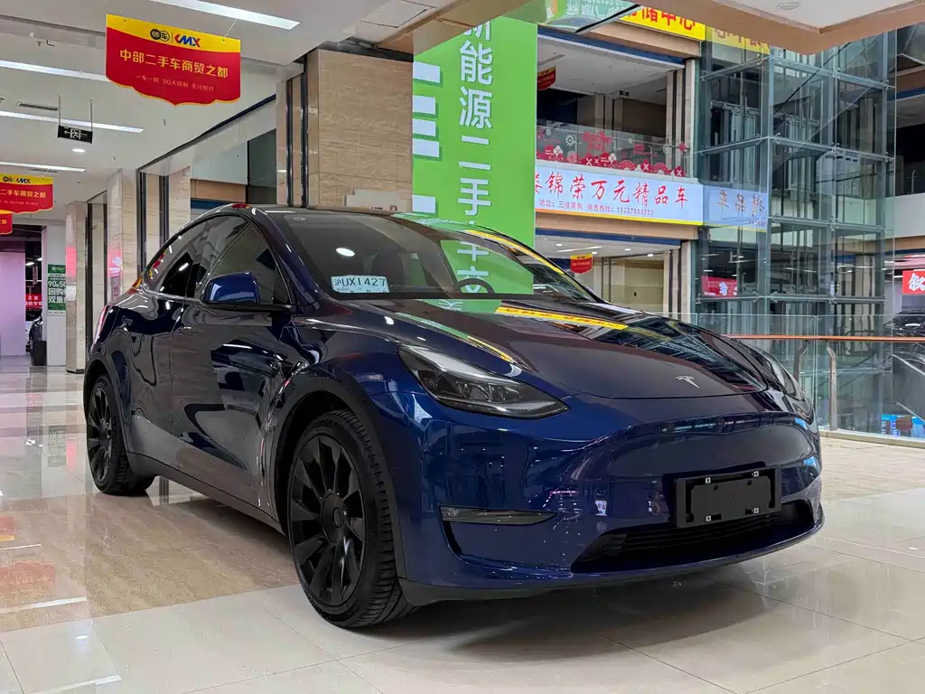 Tesla Model Y — фото 3