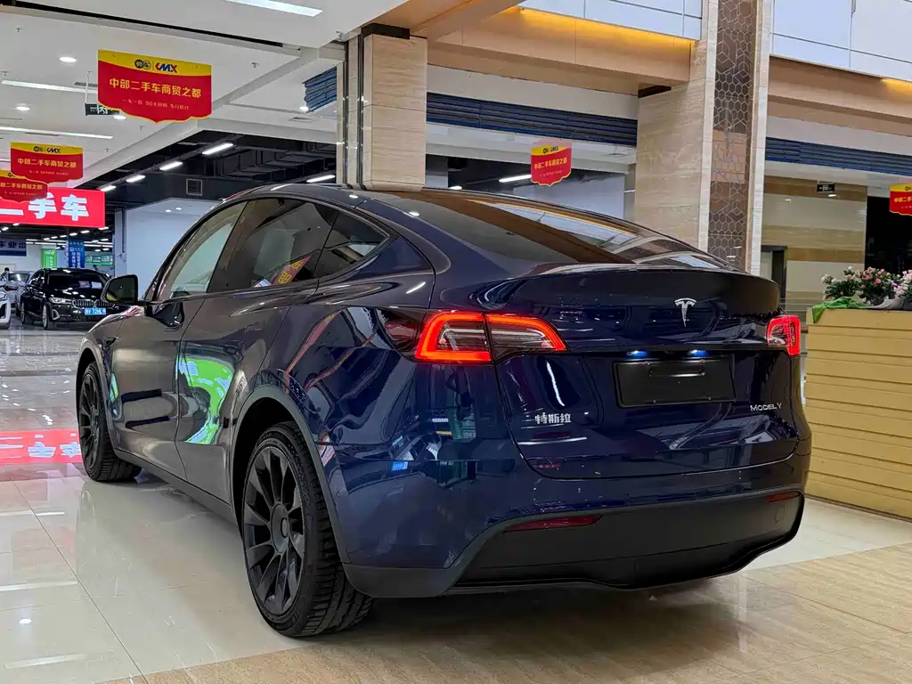 Tesla Model Y — фото 10