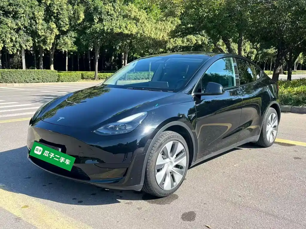 Tesla Model Y — фото 2