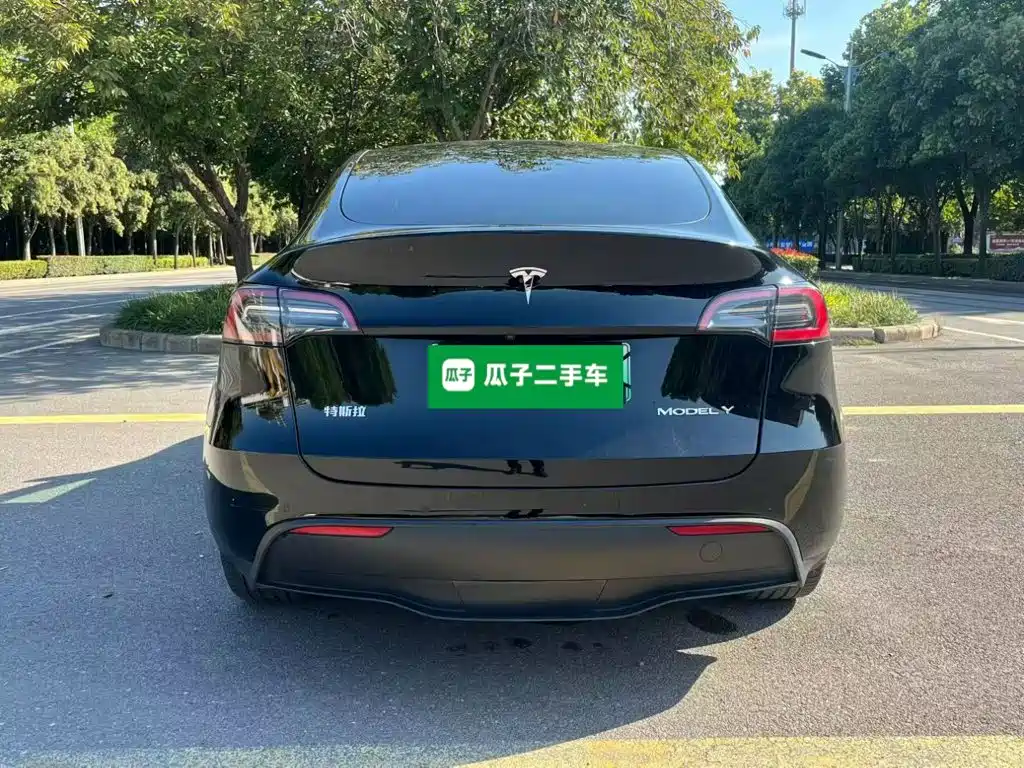 Tesla Model Y — фото 6