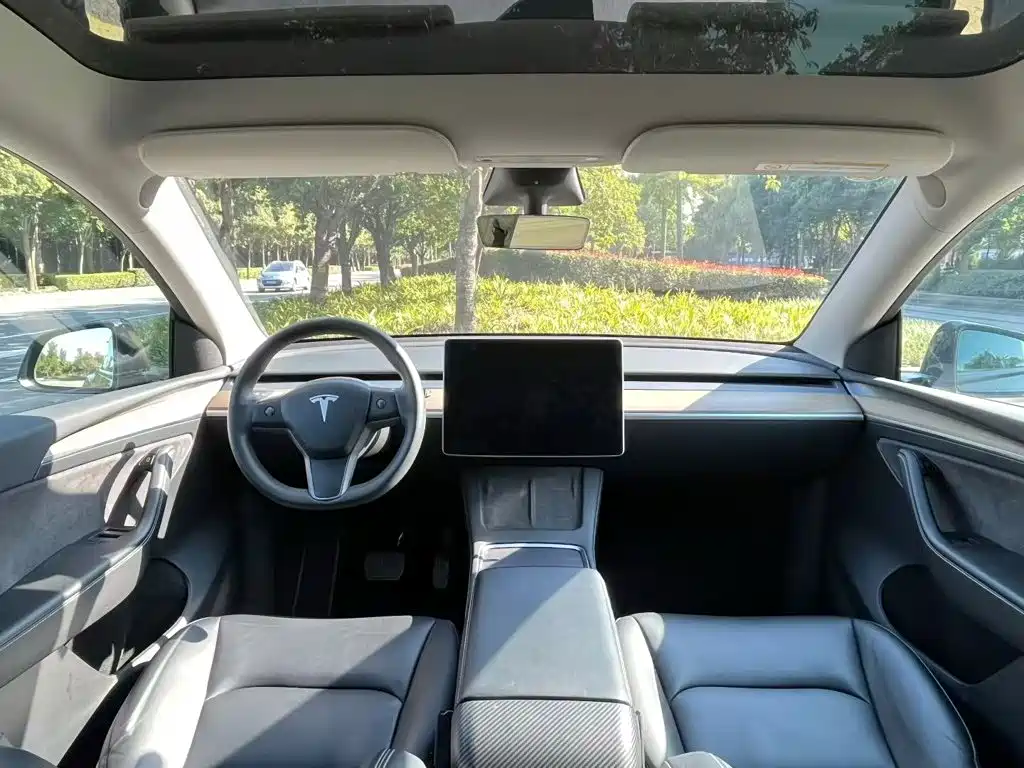 Tesla Model Y — фото 10