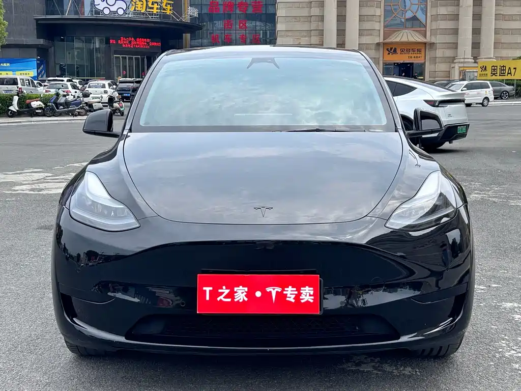 Tesla Model Y — фото 2