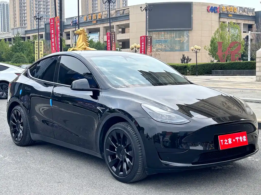 Tesla Model Y — фото 3