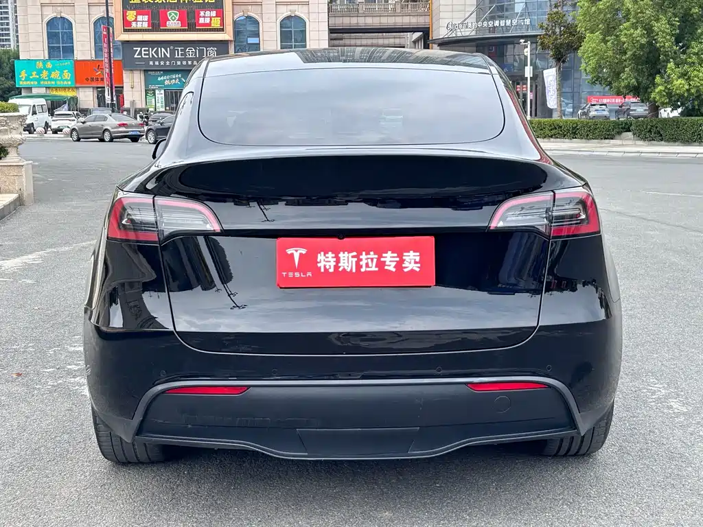 Tesla Model Y — фото 8