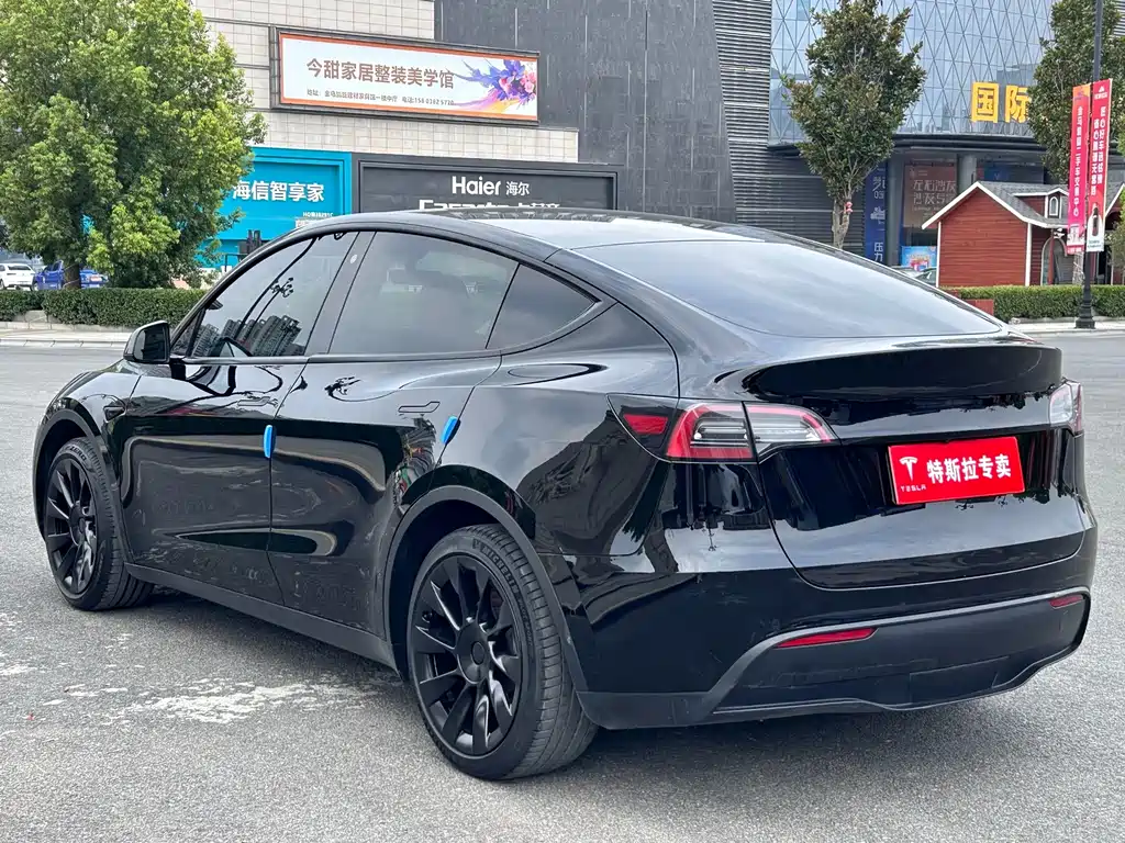 Tesla Model Y — фото 9