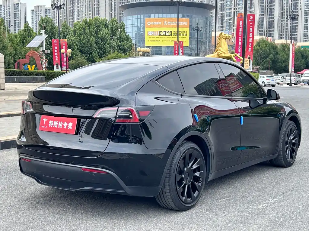 Tesla Model Y — фото 10