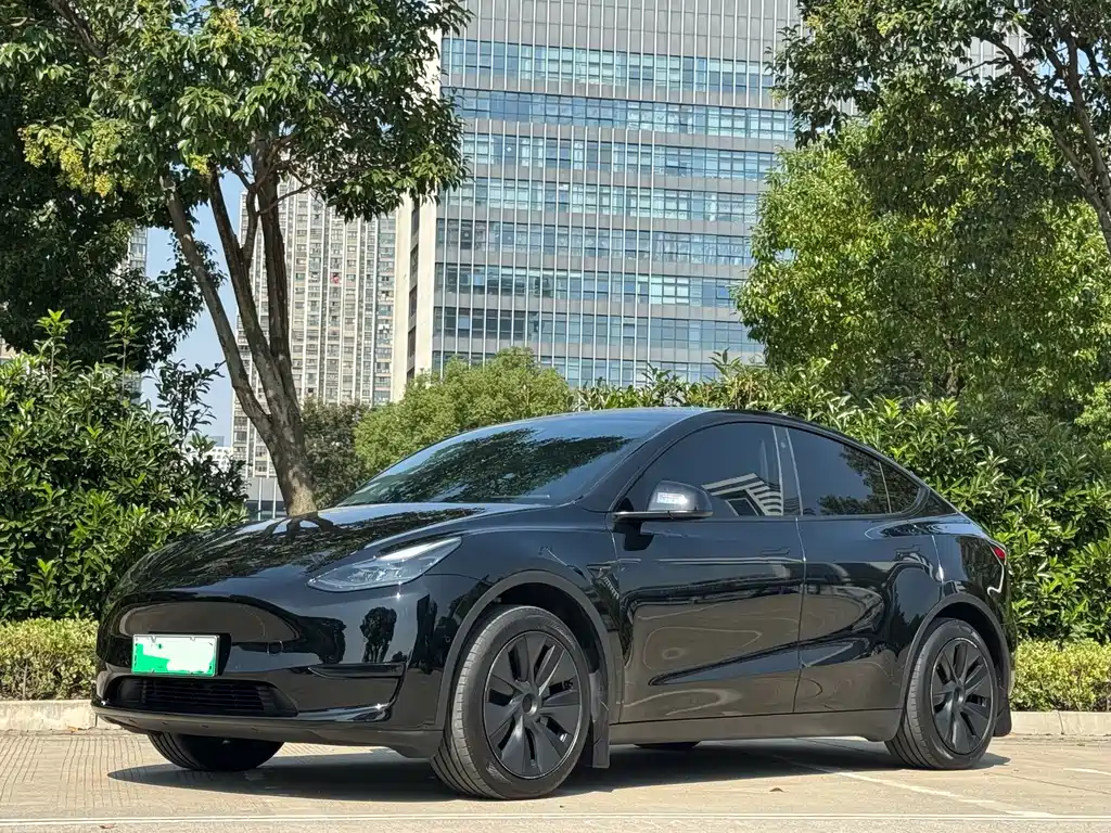 Tesla Model Y — фото 2