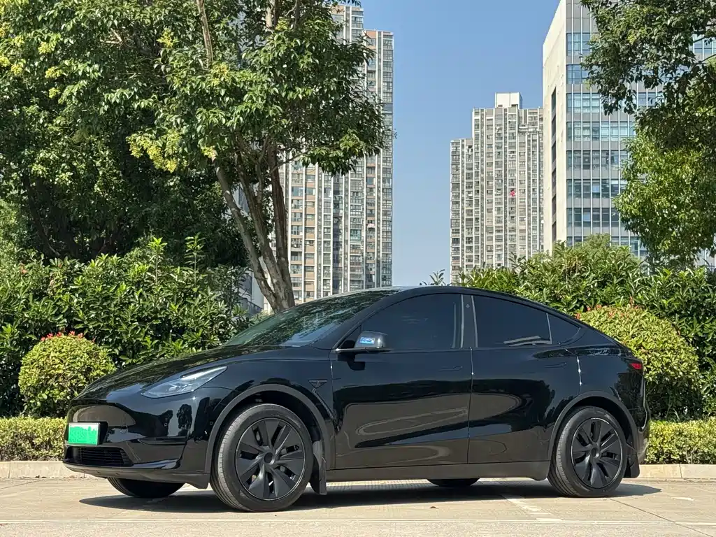 Tesla Model Y — фото 13