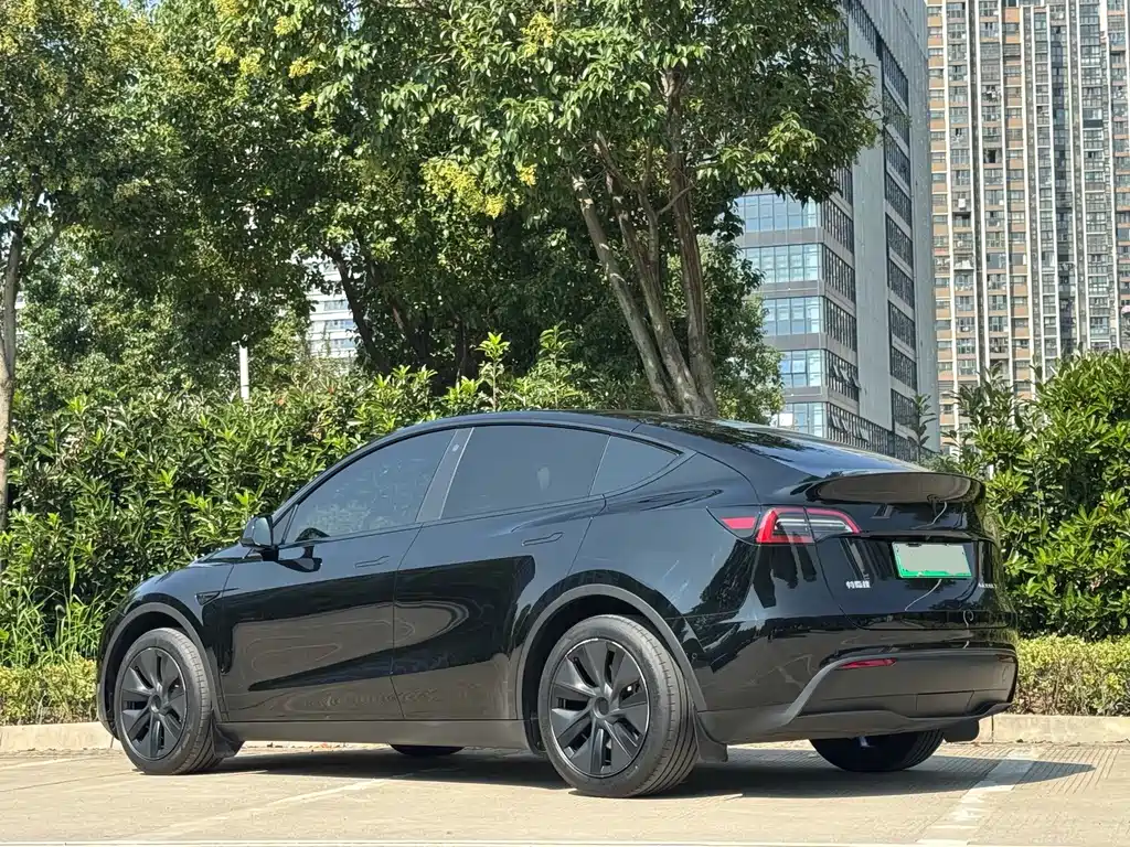 Tesla Model Y — фото 14