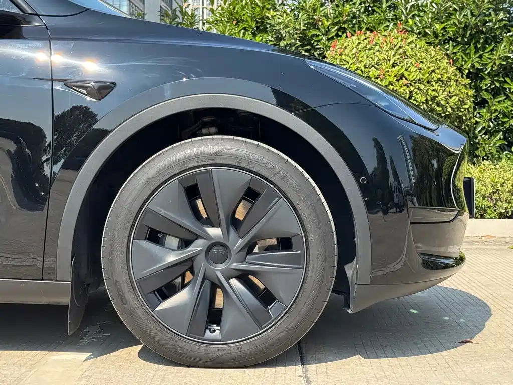 Tesla Model Y — фото 18