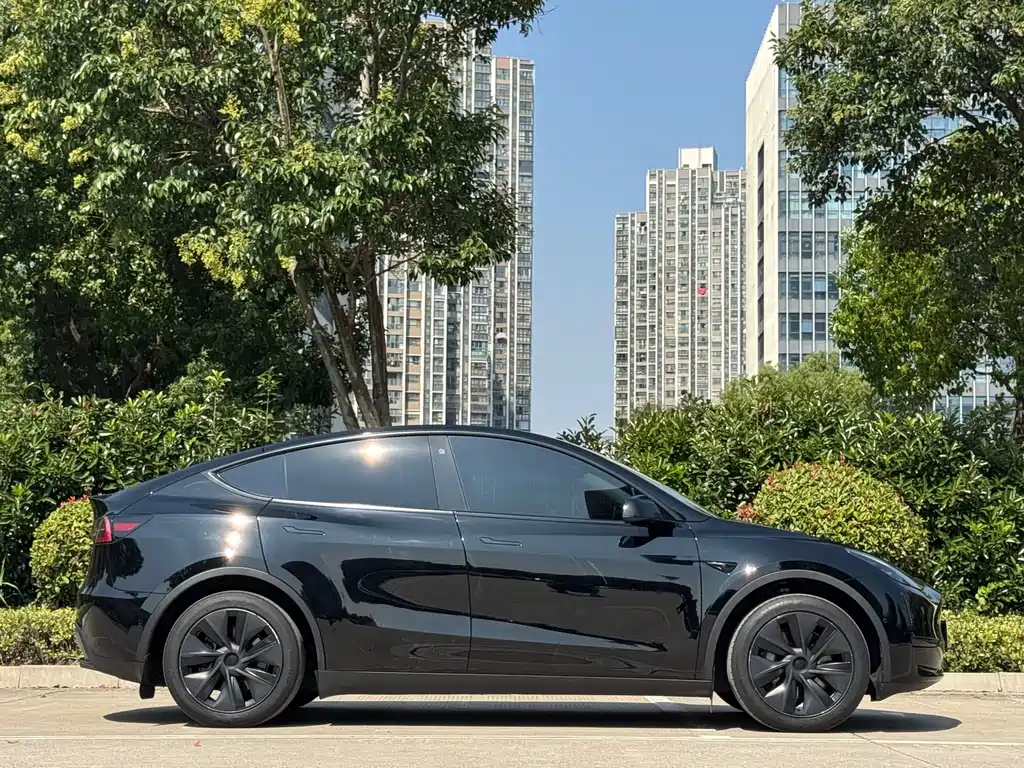 Tesla Model Y — фото 19