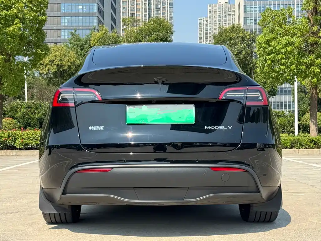 Tesla Model Y — фото 4