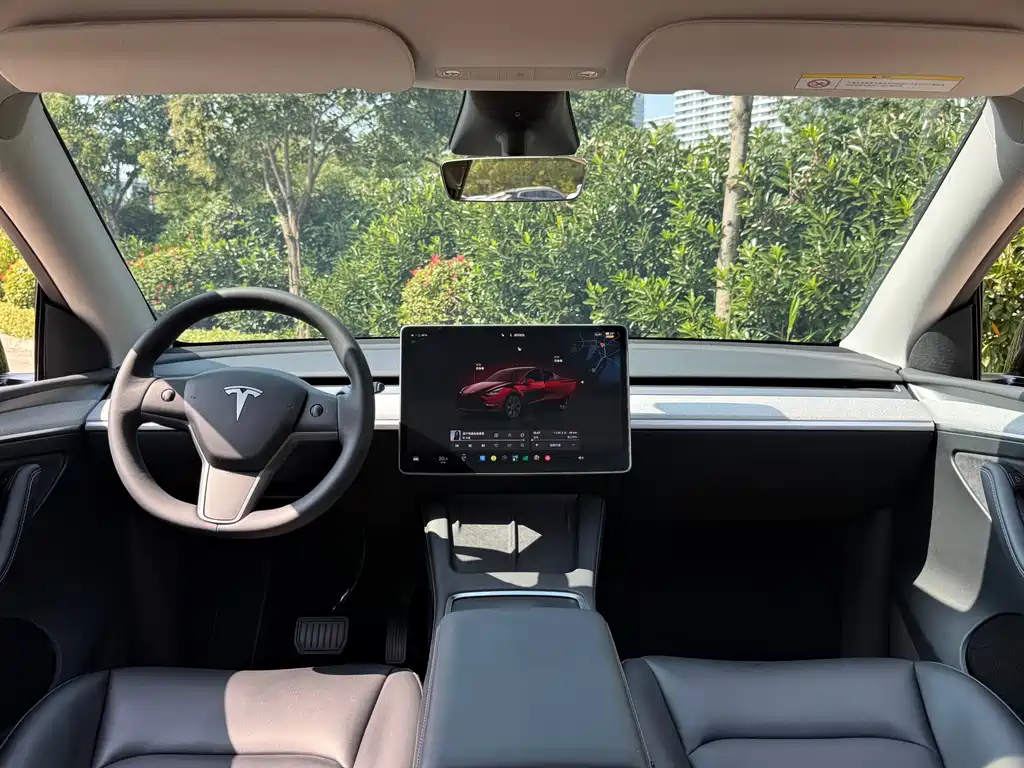 Tesla Model Y — фото 8