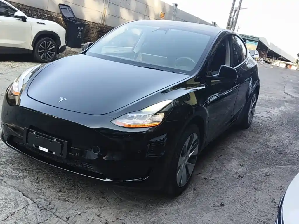 Tesla Model Y — фото 2