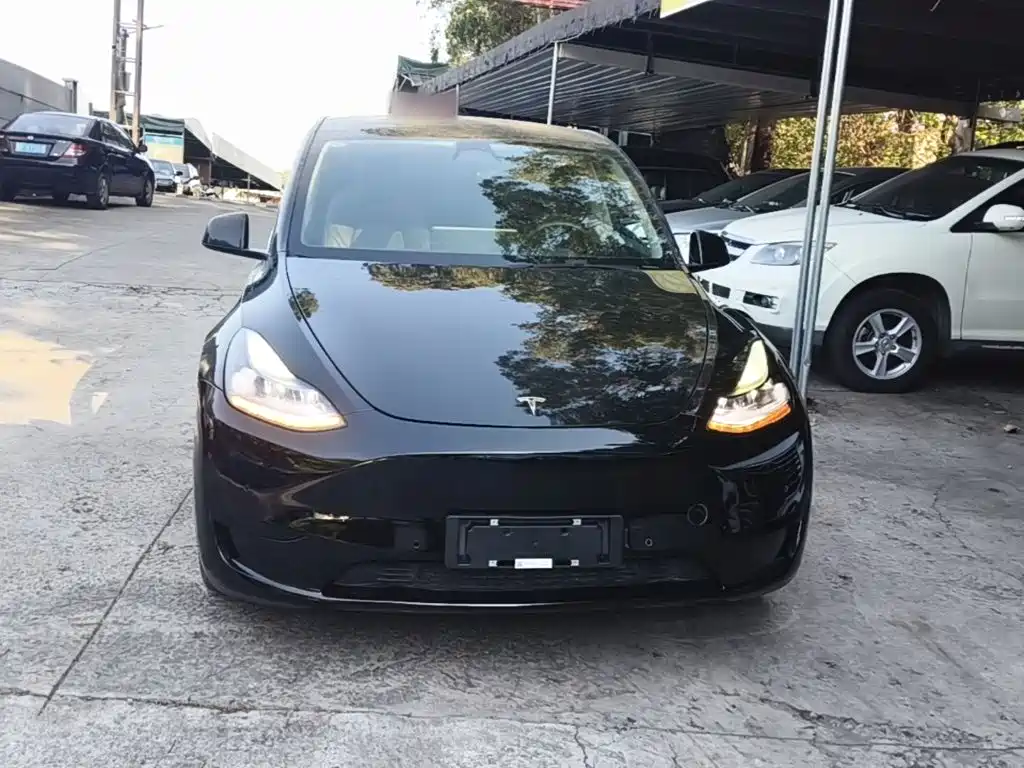 Tesla Model Y — фото 3