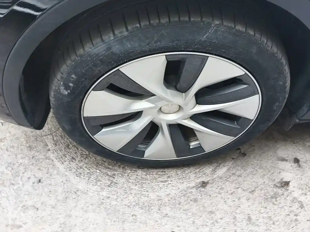 Tesla Model Y — фото 23