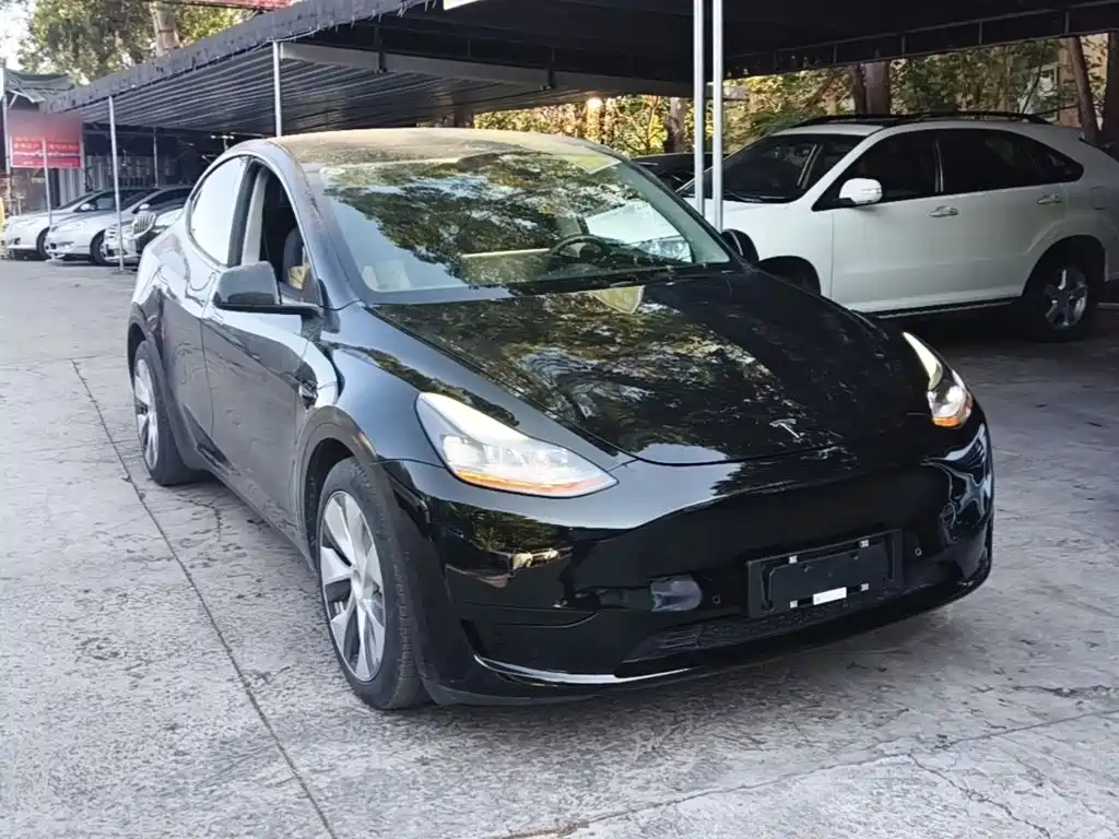 Tesla Model Y — фото 4