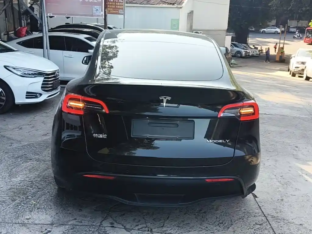 Tesla Model Y — фото 6